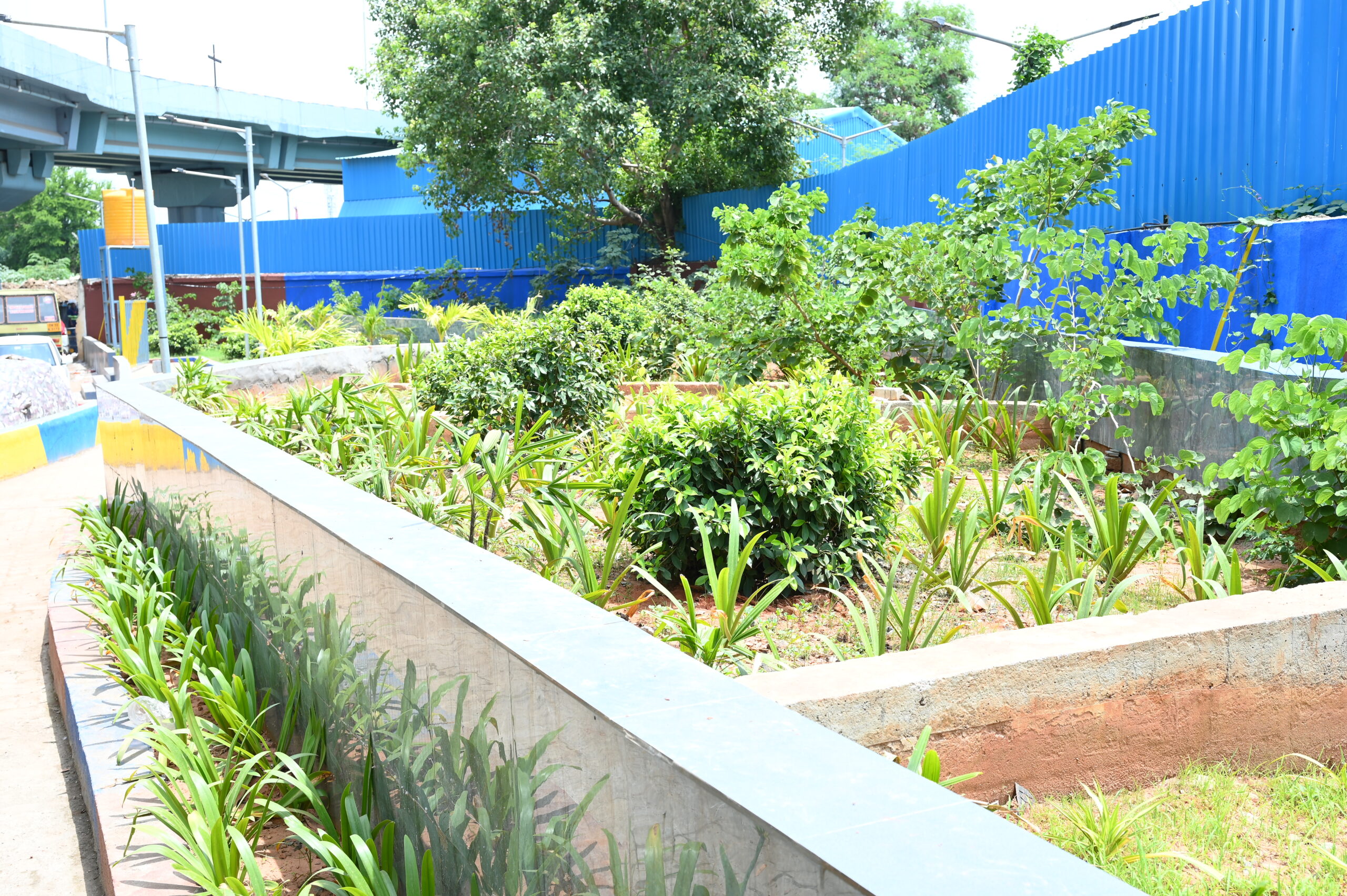 Completed public space beneath the Vadapalani flyover, Chennai, designed by VBS (12)