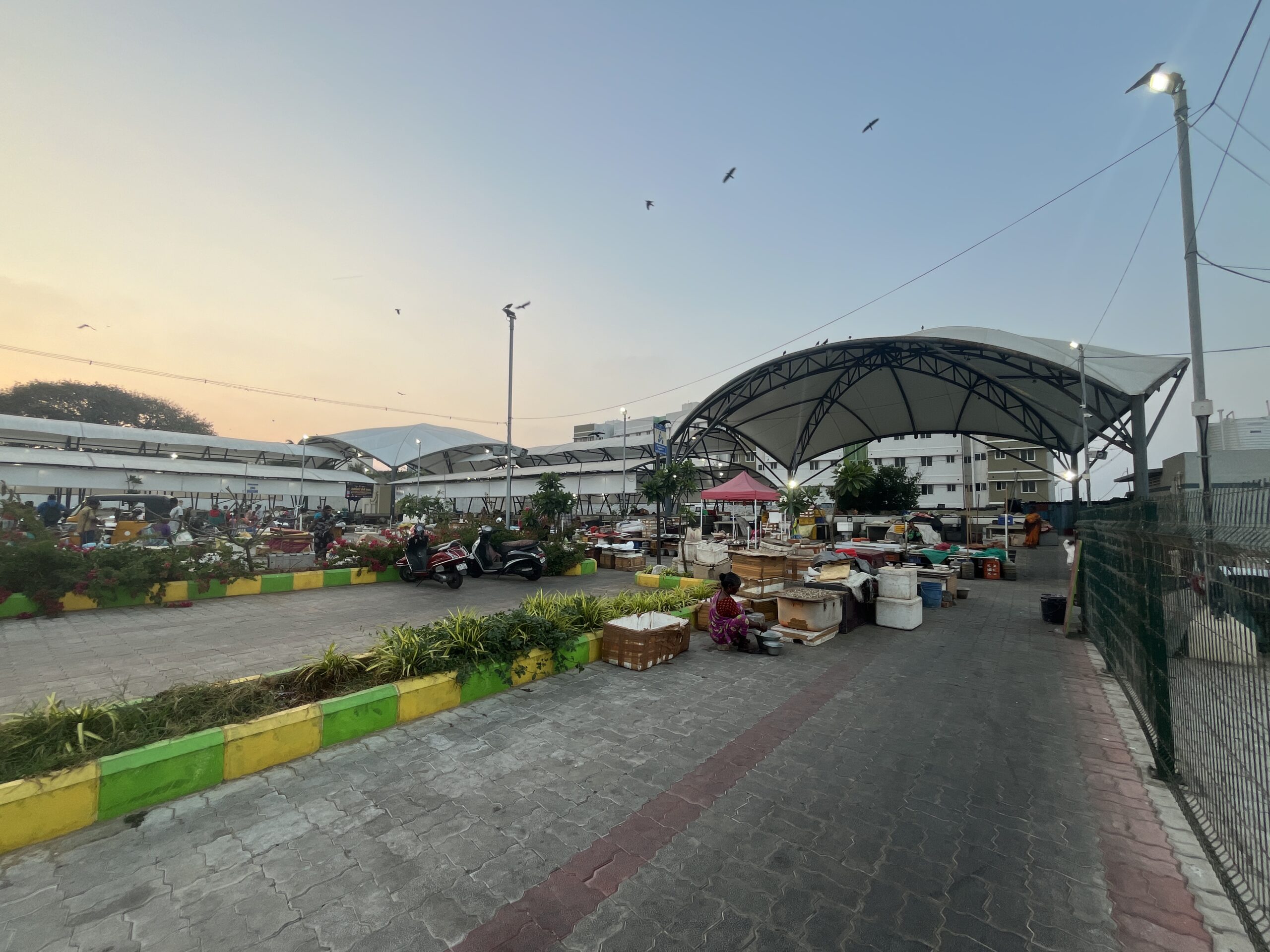 Completed Loop Road fish market designed by VBS, Pattinapakkam, Chennai (2)